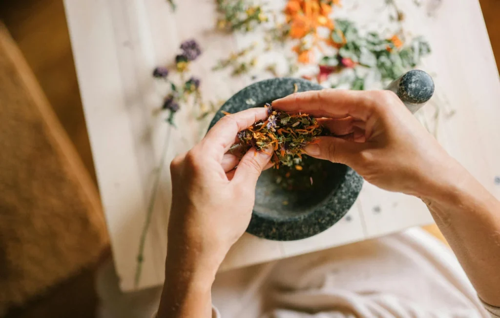 herbal medicine